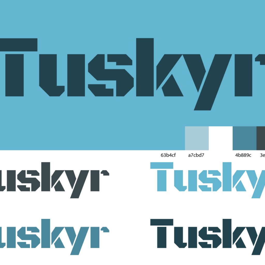 Tuskyr branding and colors